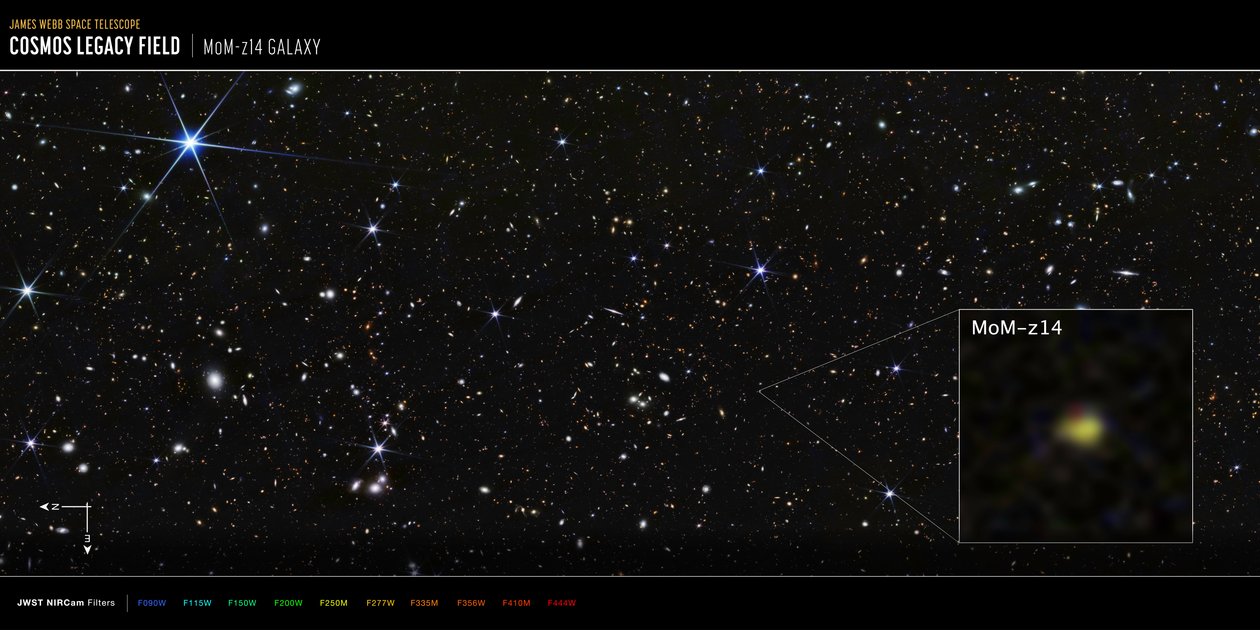 Galassia MoM-z14 del campo COSMOS (immagine NIRCam) da James Webb Space Telescope (NASA)