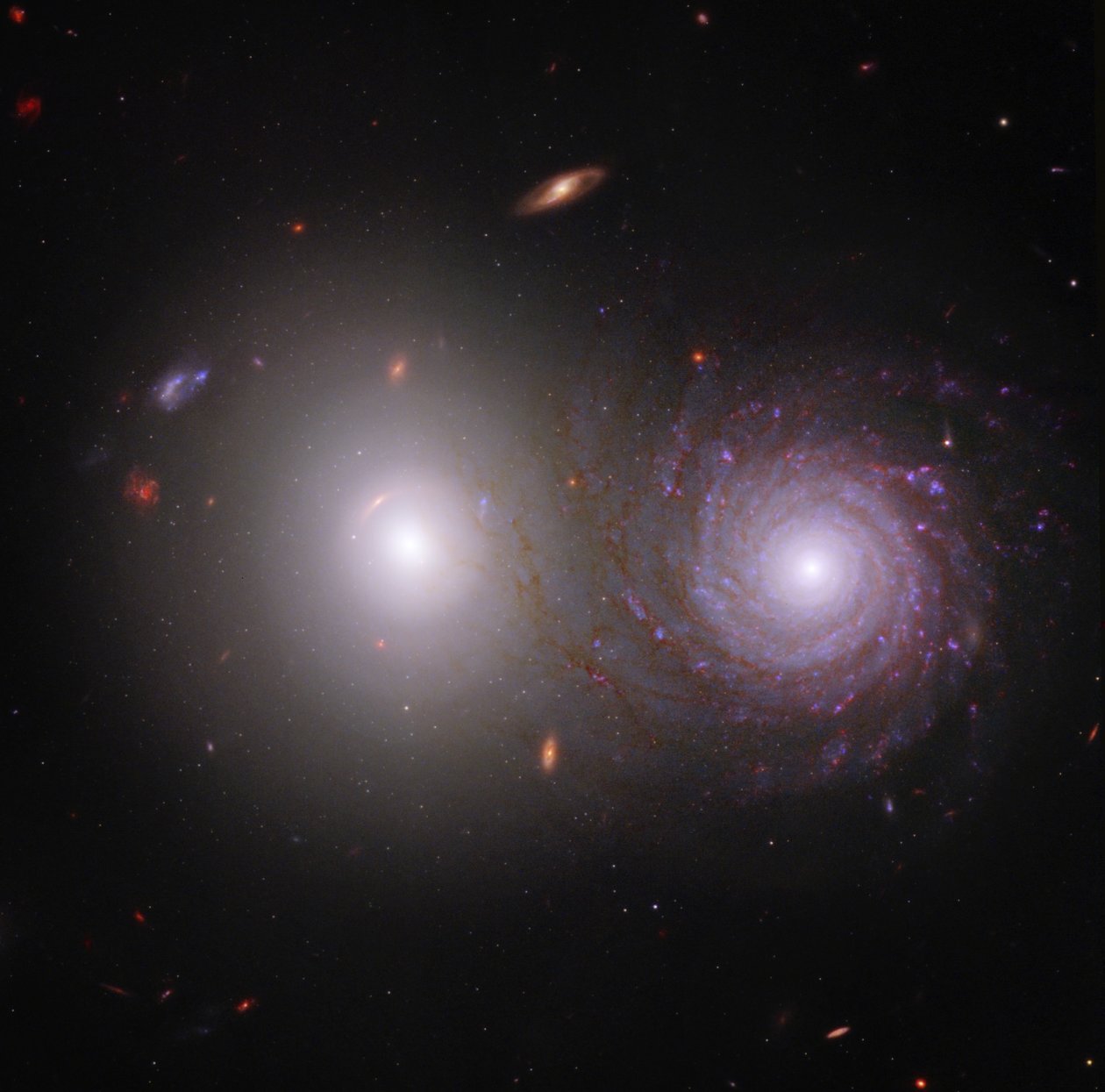Polvere Interstellare all