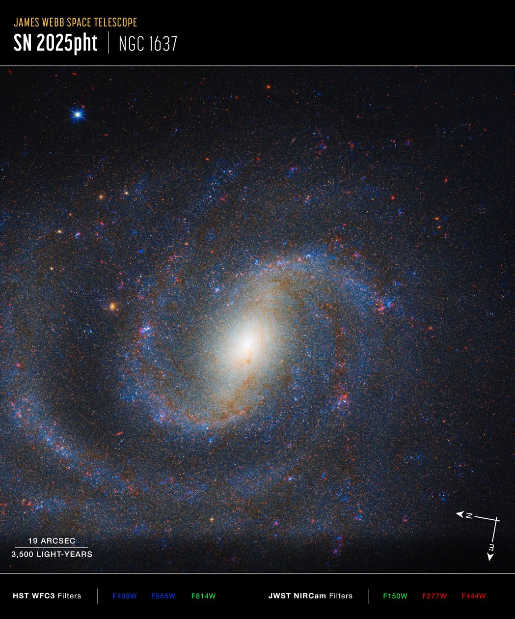 Immagine di NGC 1637 (Compass) da James Webb Space Telescope (NASA)