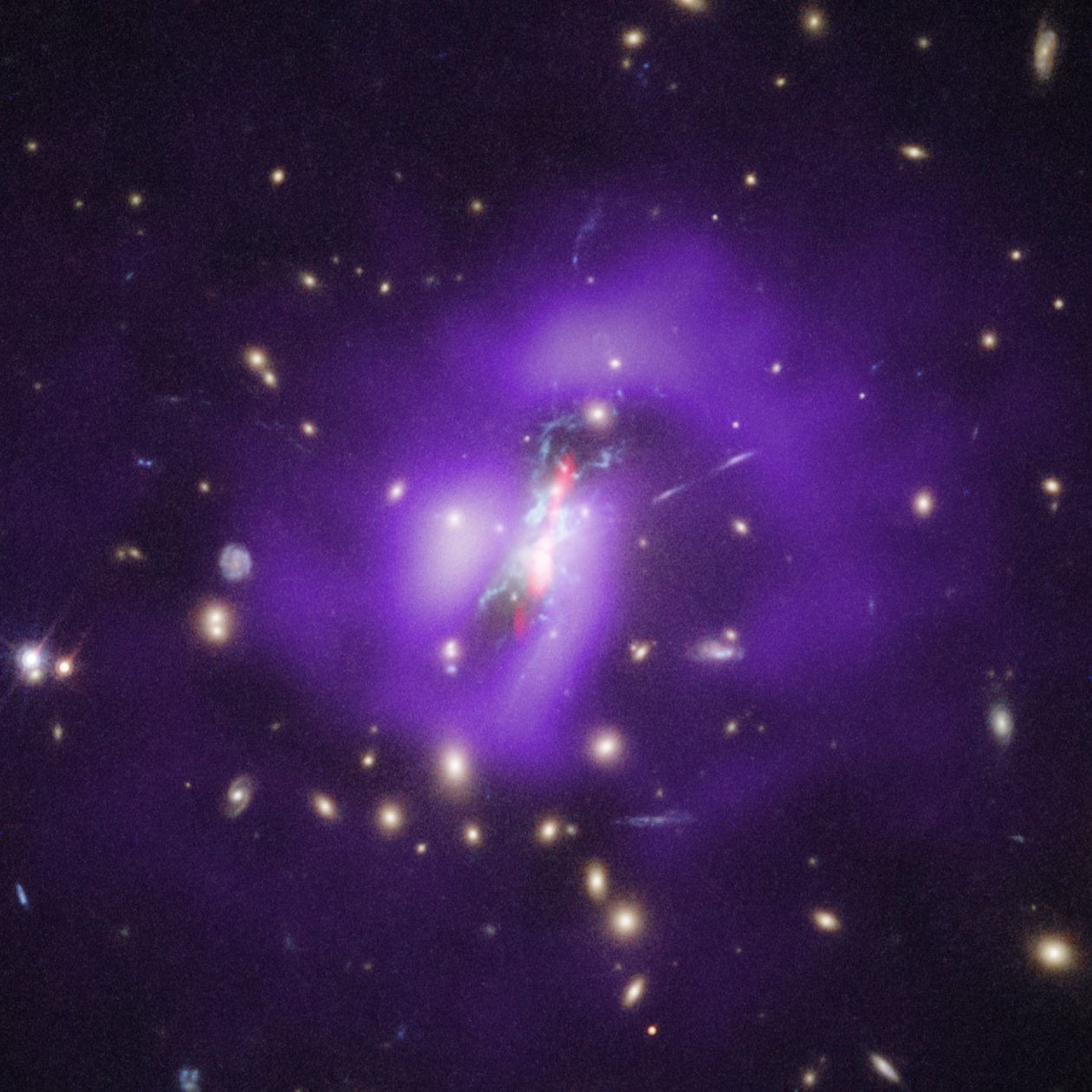 Ammasso di Phoenix (Hubble, Chandra, VLA) da James Webb Space Telescope (NASA)