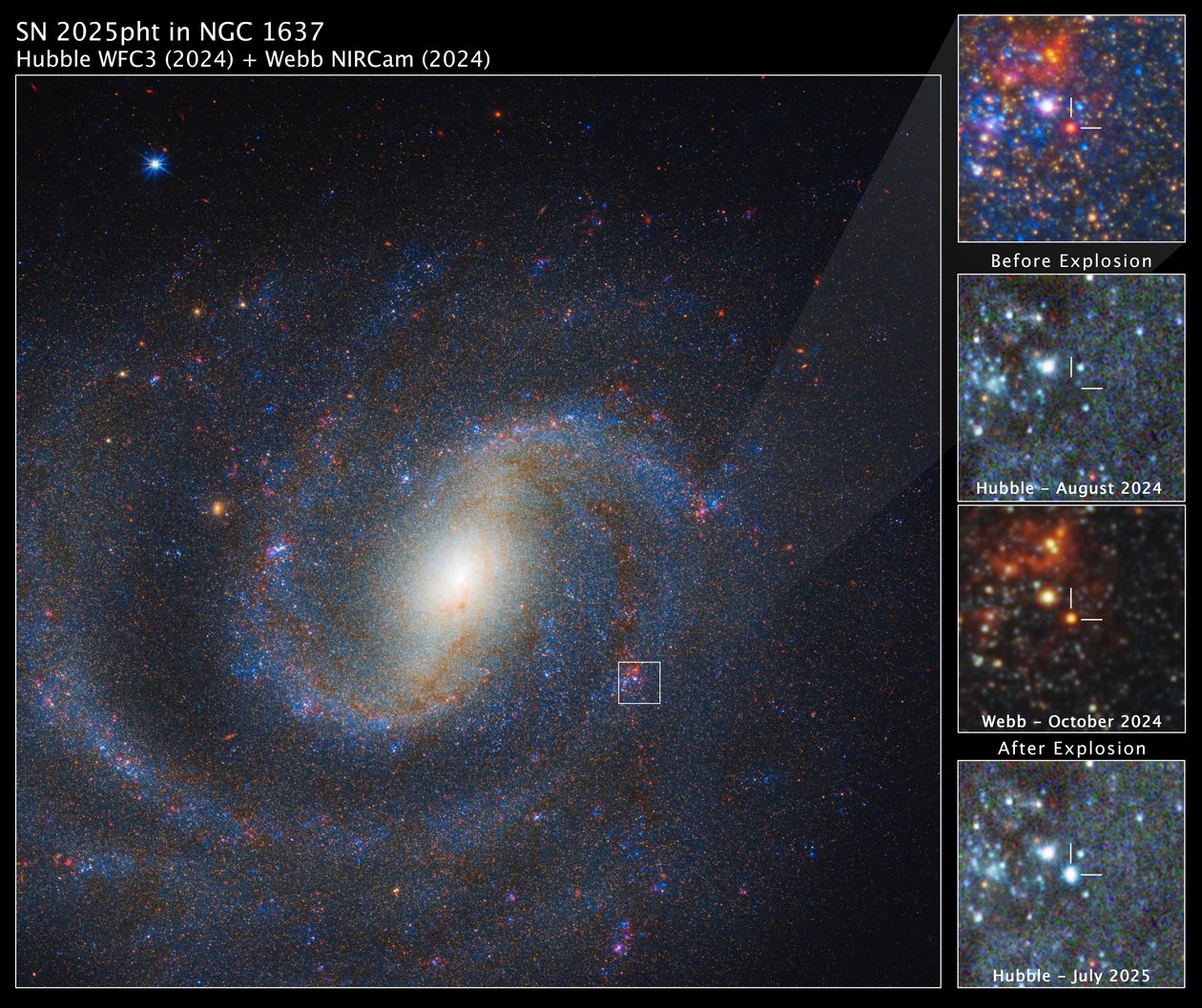 SN 2025pht in NGC 1637 da James Webb Space Telescope (NASA)