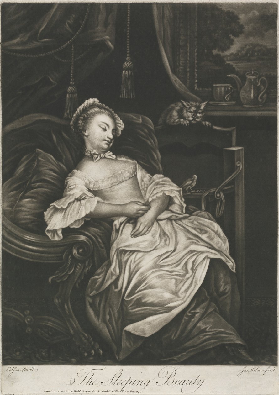 La bella addormentata da James Wilson
