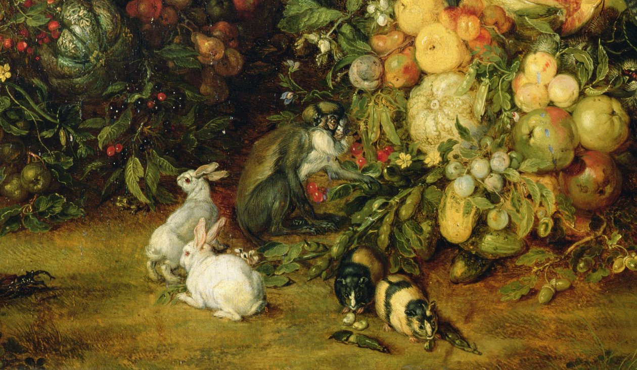 La Vergine e il bambino in una ghirlanda di frutta e fiori (dettaglio) da Jan and Rubens, P.P. Brueghel