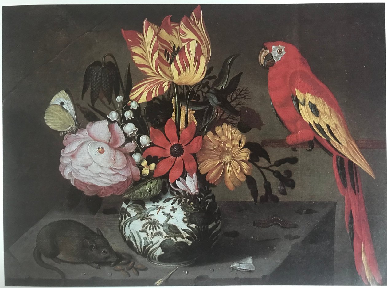 Vaso di fiori con un topo e un pappagallo da Jan Baptist van Fornenburgh