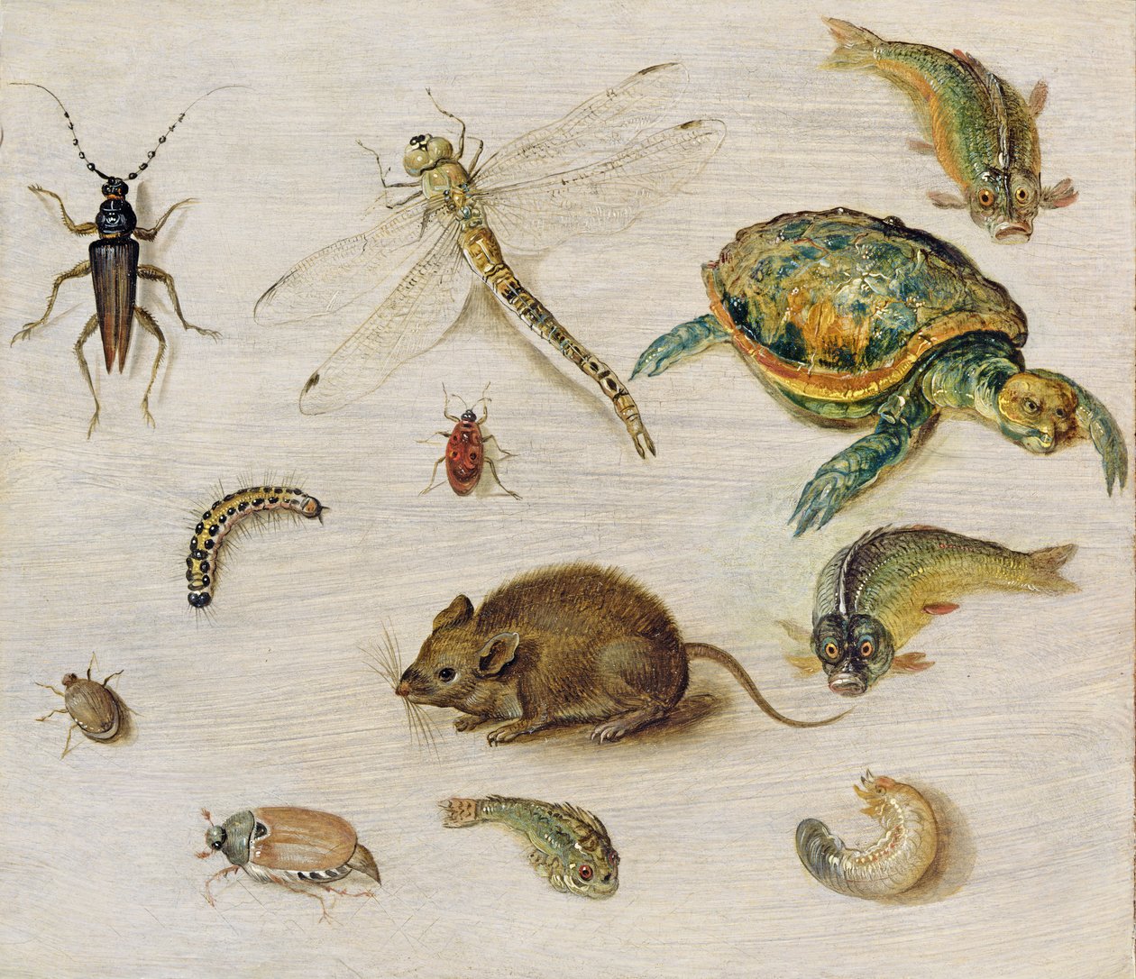 Studio di insetti, creature marine e un topo da Jan the Elder Brueghel