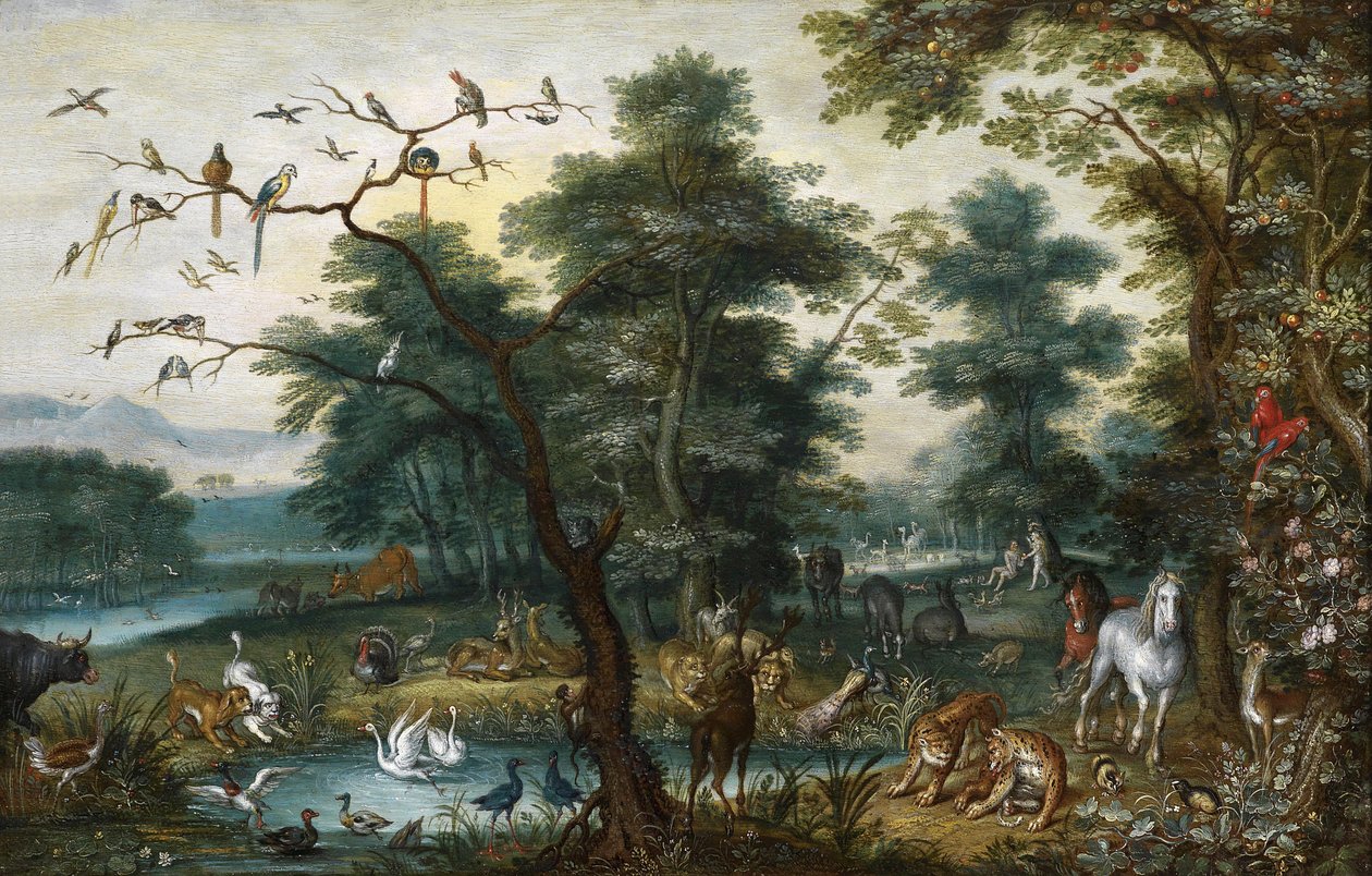 Paesaggio paradisiaco con la caduta dell