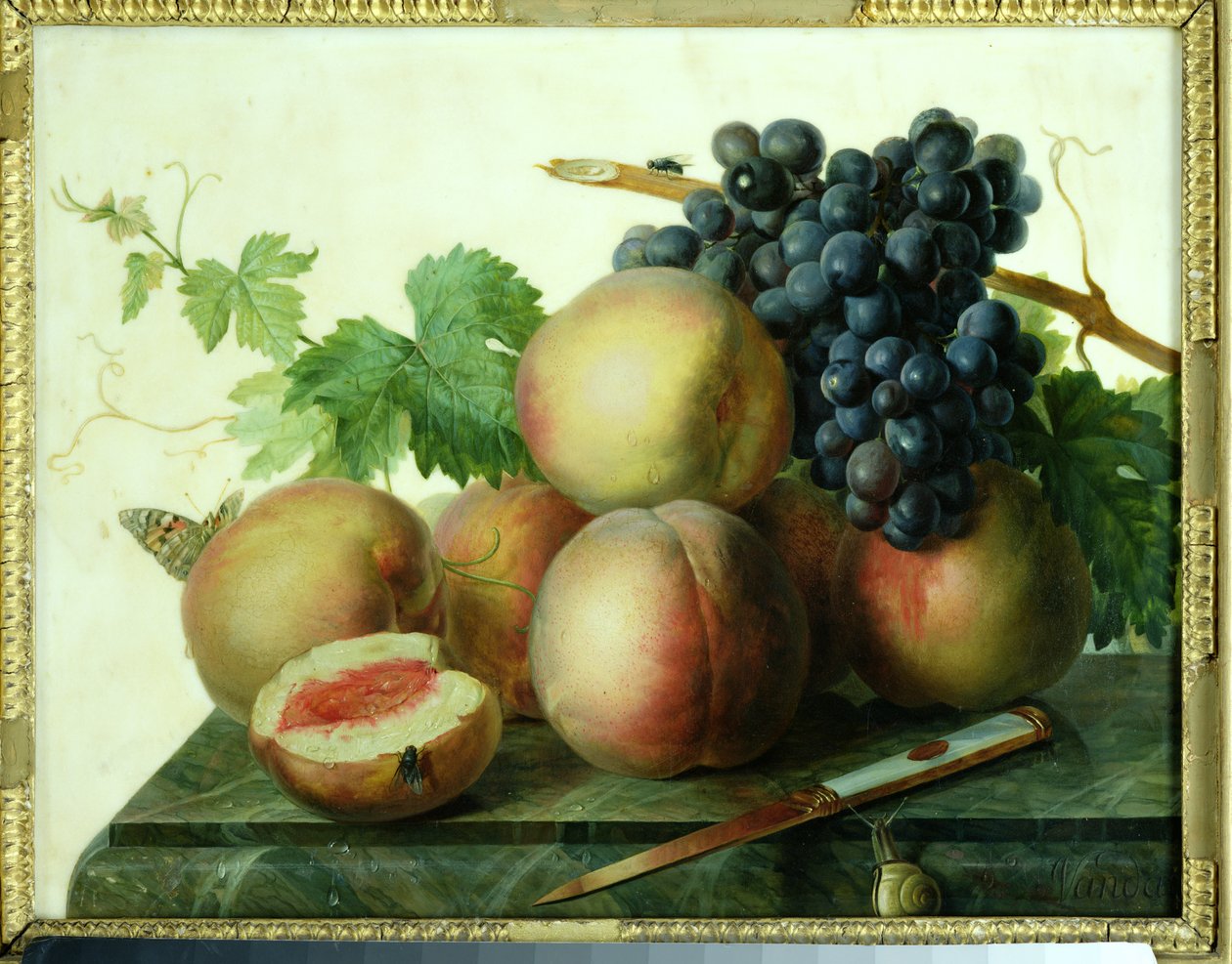 Natura morta con pesche e uva su marmo da Jan Frans van Dael
