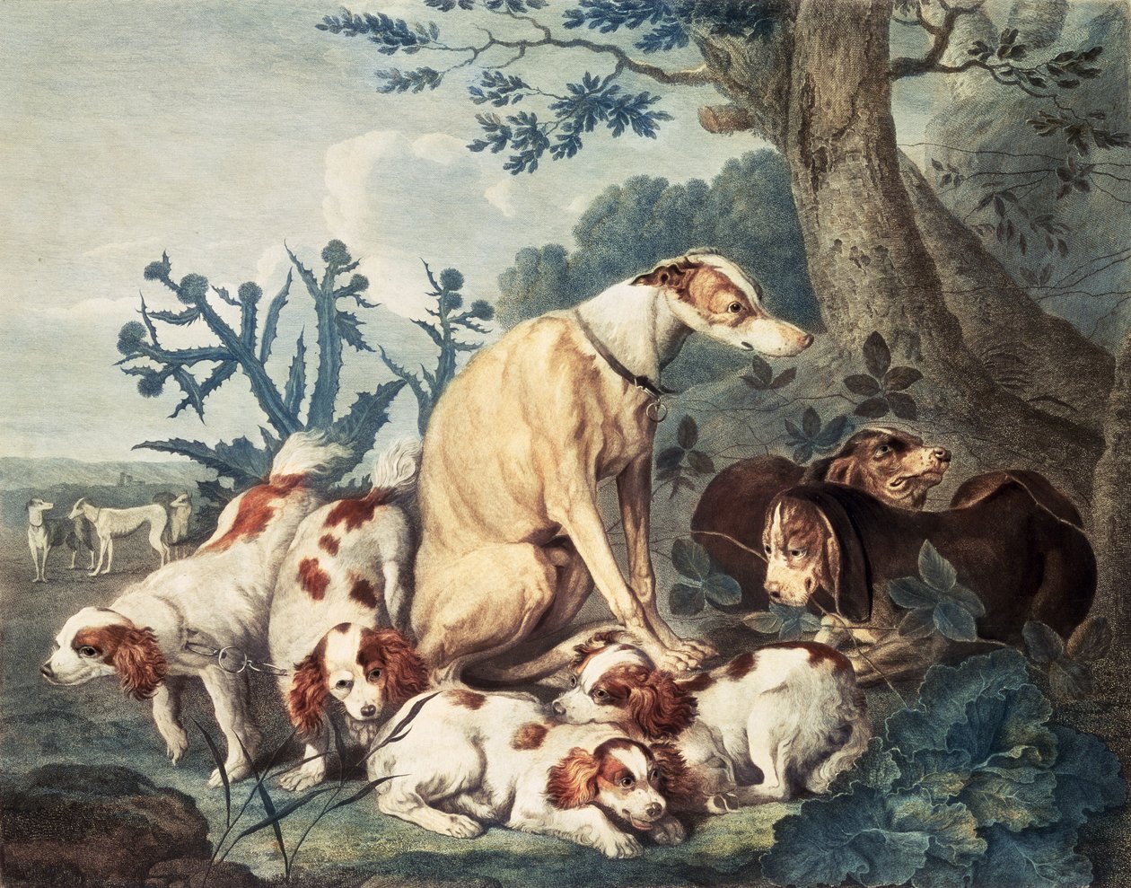 Ritratti di cani, inciso da Daniel Lerpiniere, pub. da John e Josiah Boydell, 1799 da Jan Fyt