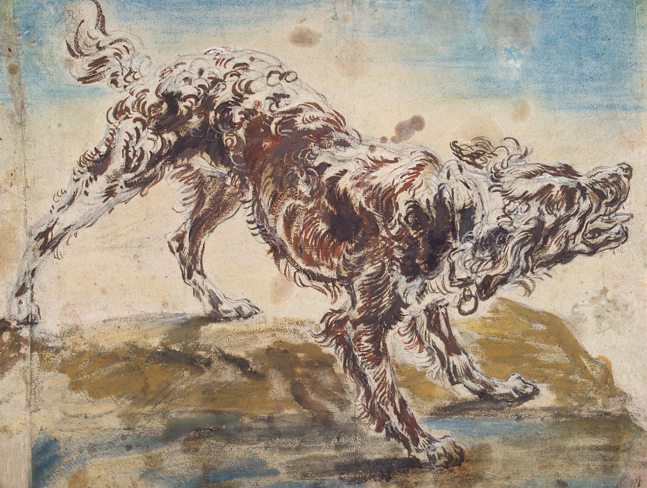 Studio di un Cane da Jan Fyt