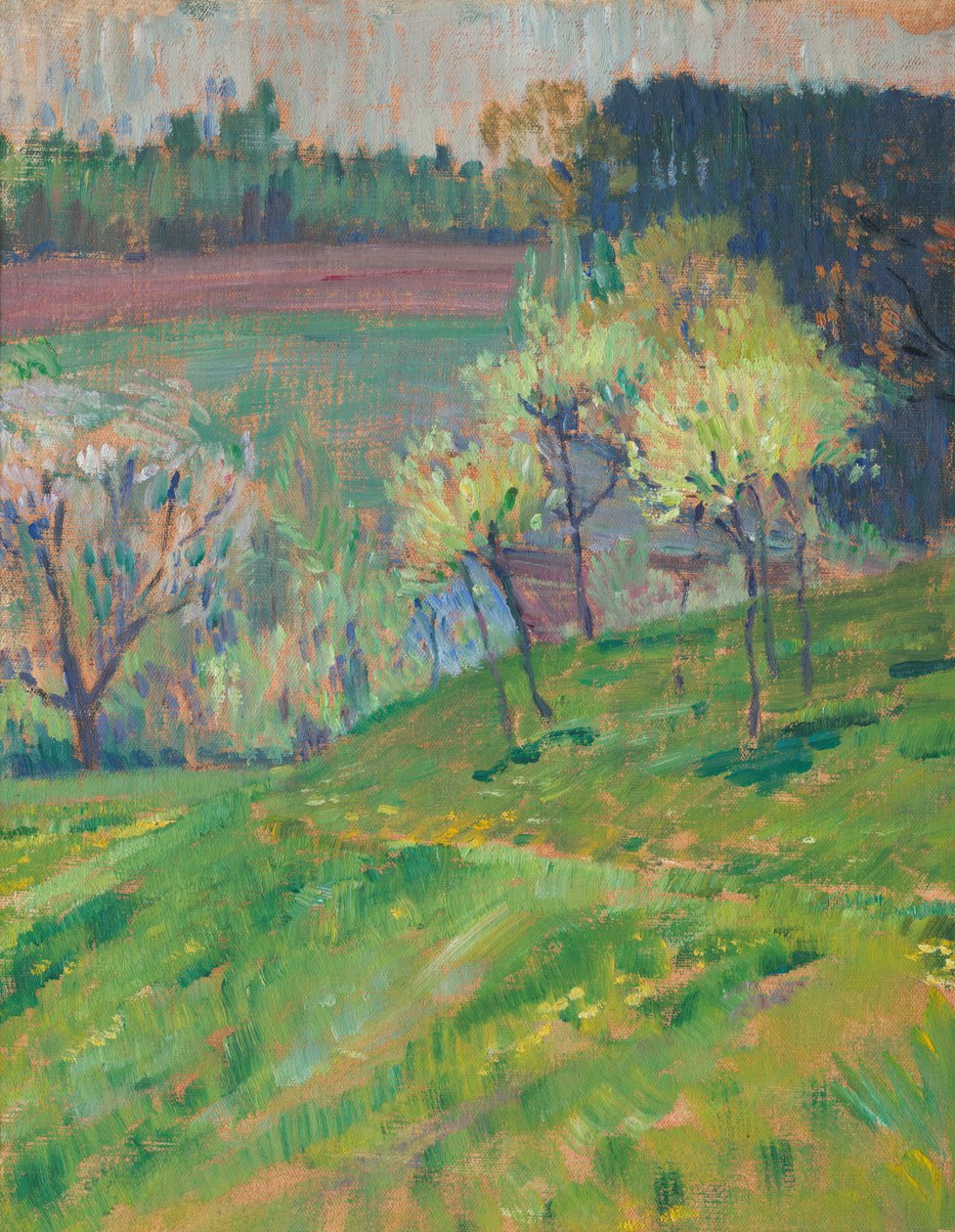 Frutteto in fiore da Jan Preisler