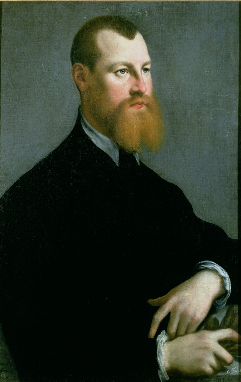 Ritratto di un uomo con la barba rossa, XVI secolo da Jan Stephen van Calcar