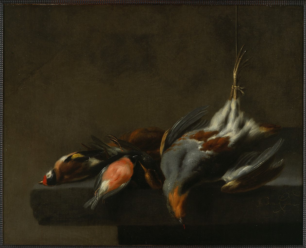 Natura morta di uccelli morti, c.1660 da Jan Vonck