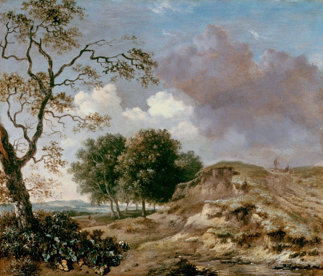 Paesaggio da Jan Wijnants