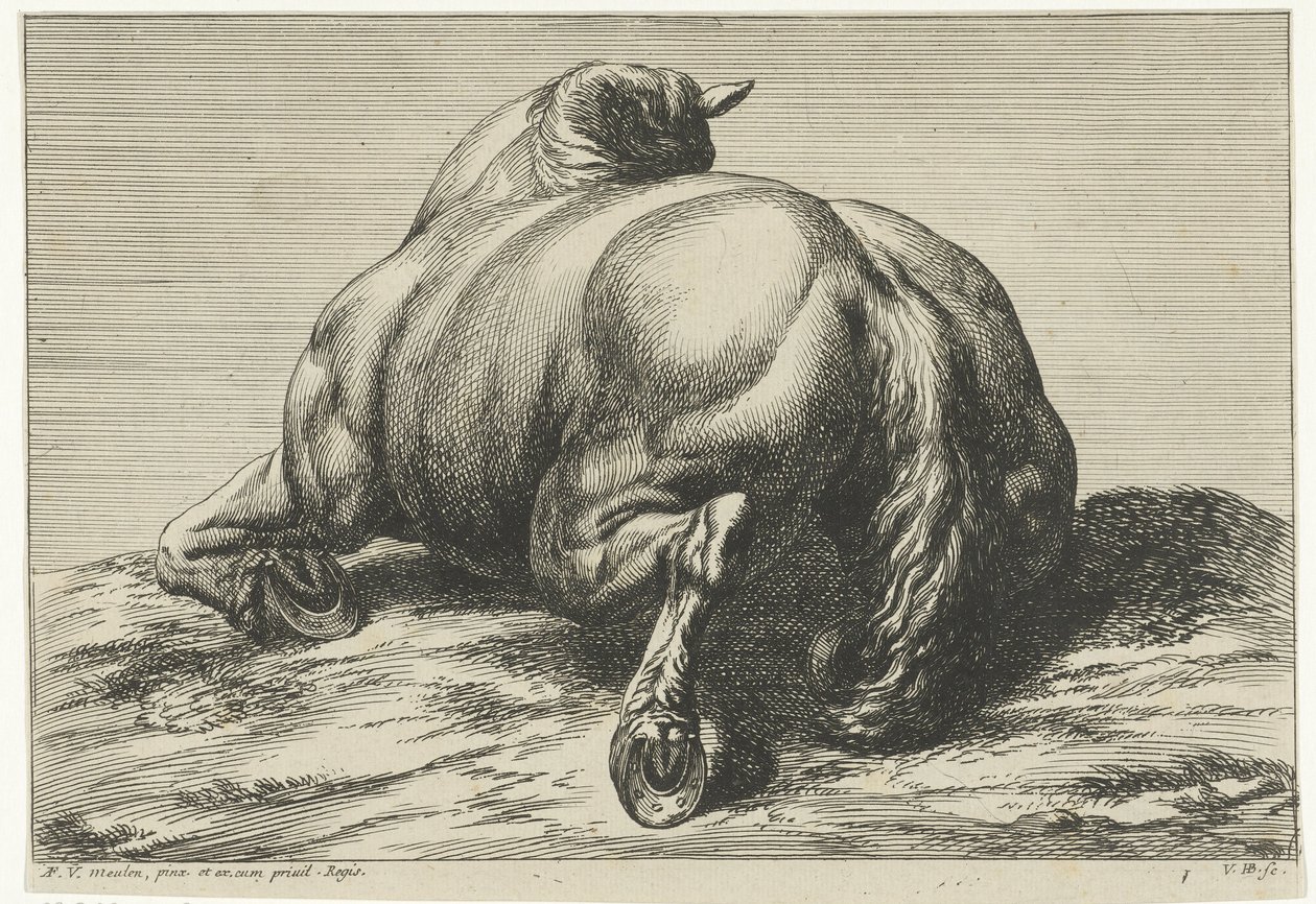 Un cavallo sdraiato sulla pancia visto da dietro da Jan van Huchtenburgh