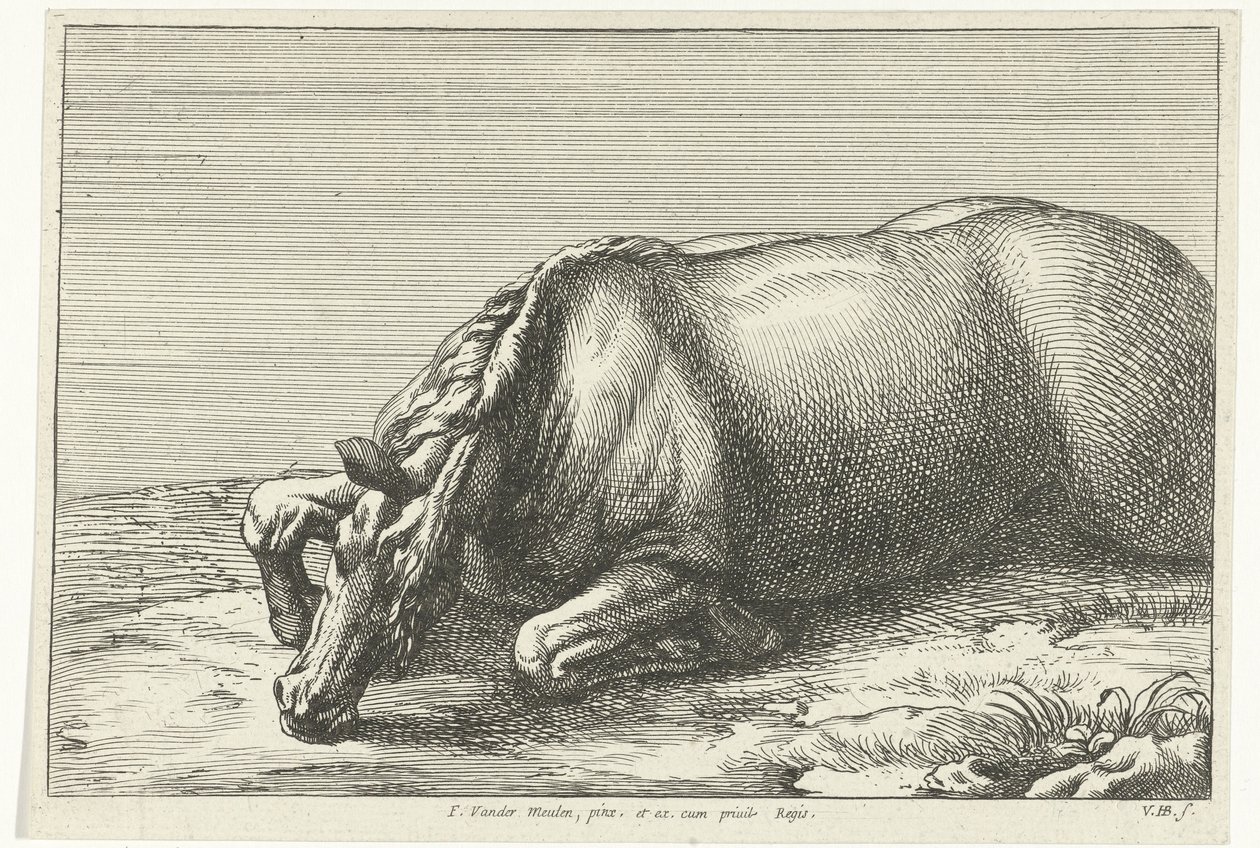 Cavallo ucciso visto dal lato sinistro da Jan van Huchtenburgh