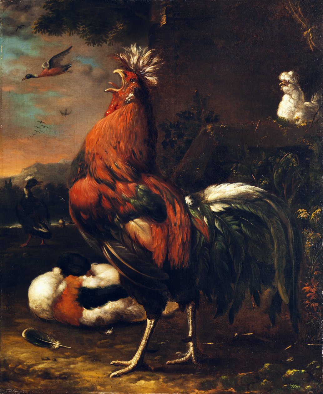 Gallo orgoglioso da Jan van Oolen