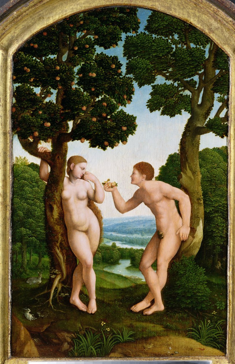 Adamo ed Eva in Paradiso da Jan van Scorel