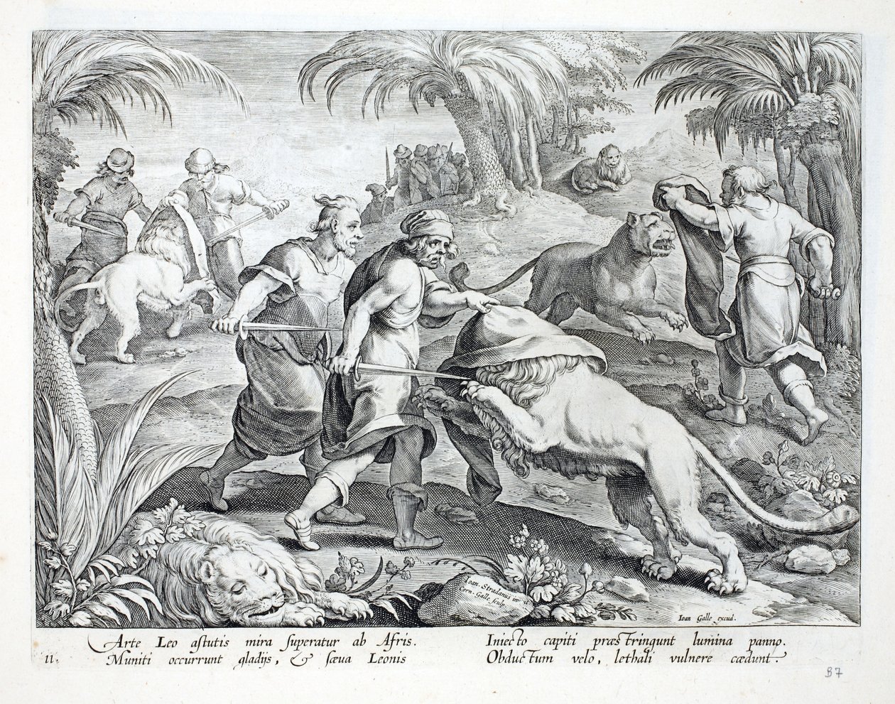 Gli africani cacciano i leoni coprendo le loro teste, poi li trafiggono con una ferita mortale, illustrazione da 