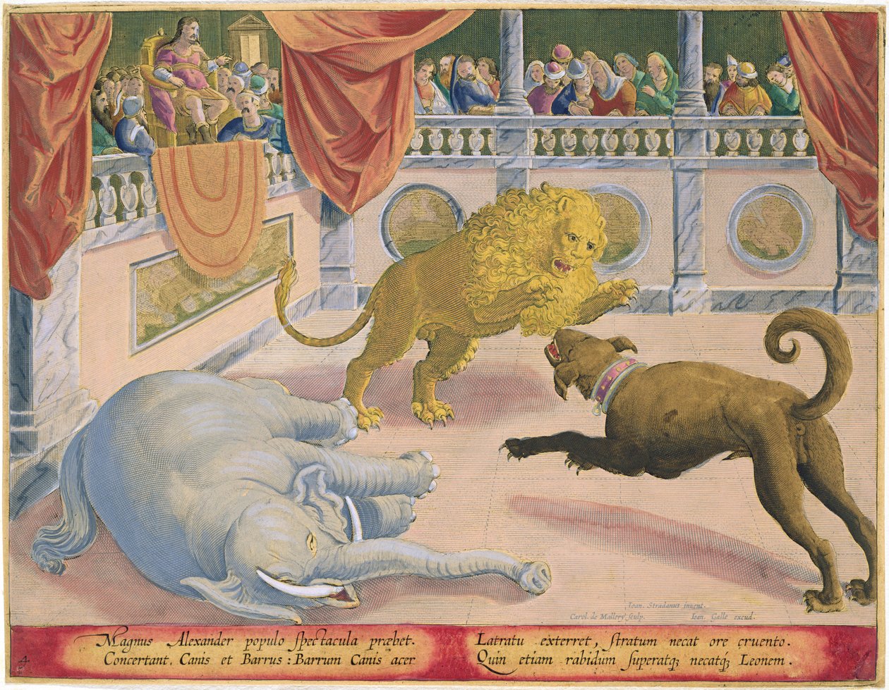 Alessandro Magno (356-323 a.C.) Mette in Scena uno Spettacolo, tavola 4 da 