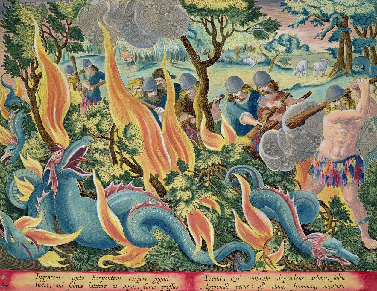 Cattura di serpenti in India usando bastoni e torce per illuminare la boscaglia, tavola 44 da 