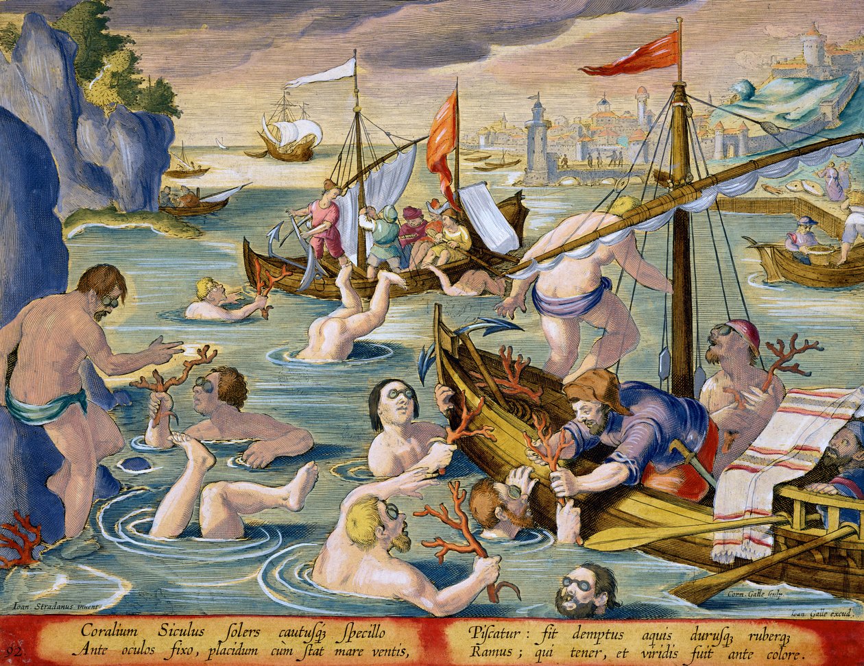 Immersione per coralli, tavola 92 da 