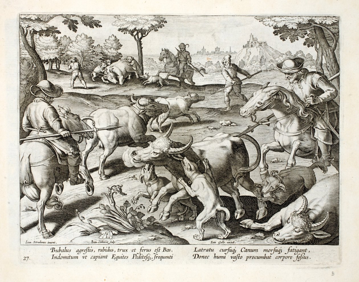 Caccia al bue selvatico, illustrazione da 