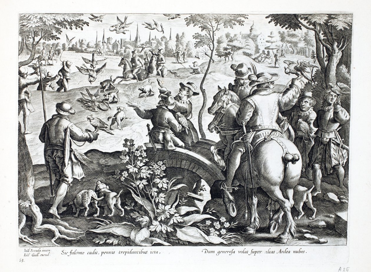 Caccia con i falchi, illustrazione da 