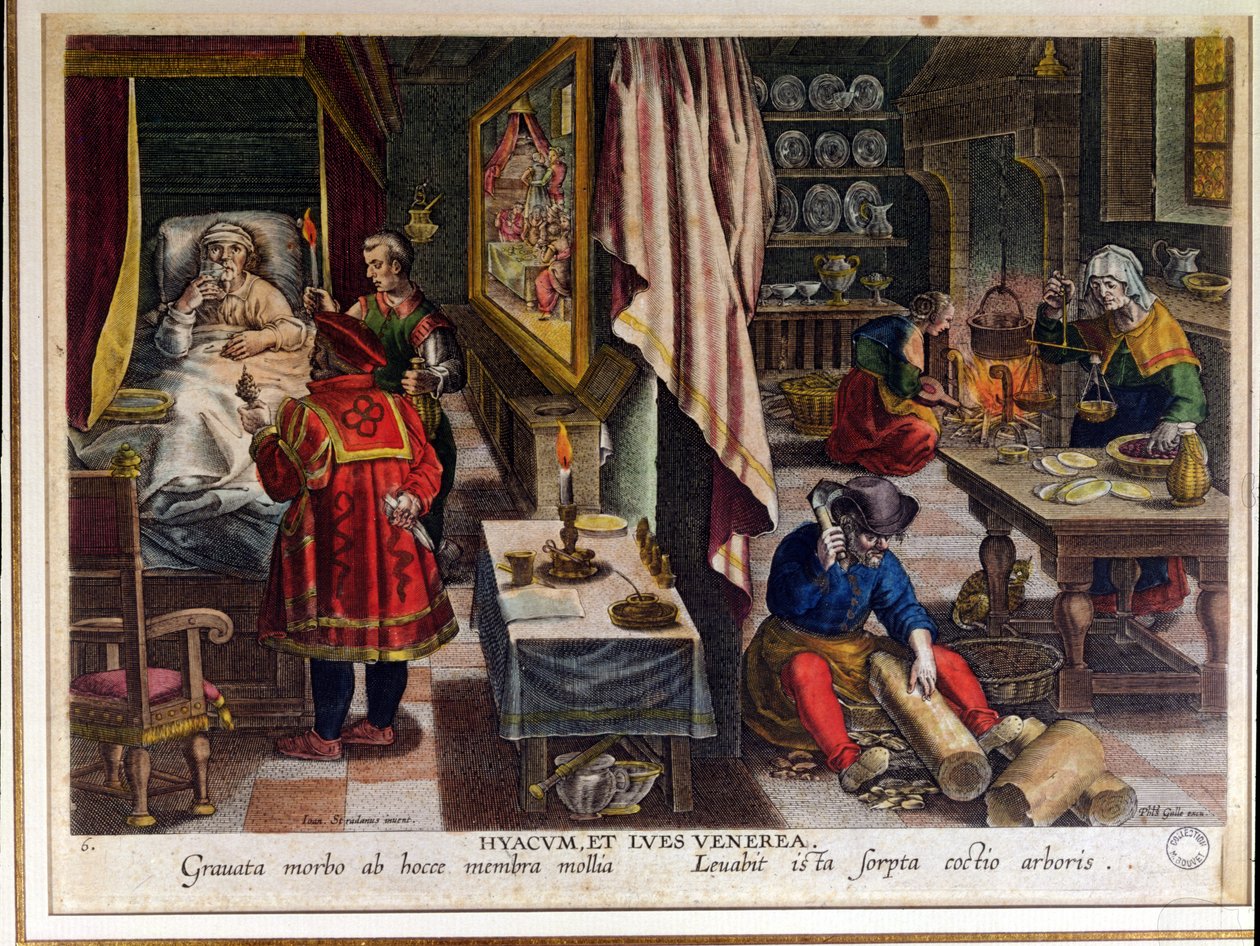 Preparazione e uso del Guayaco per il trattamento della sifilide, inciso da Philip Galle c.1570 da Jan van der Straet