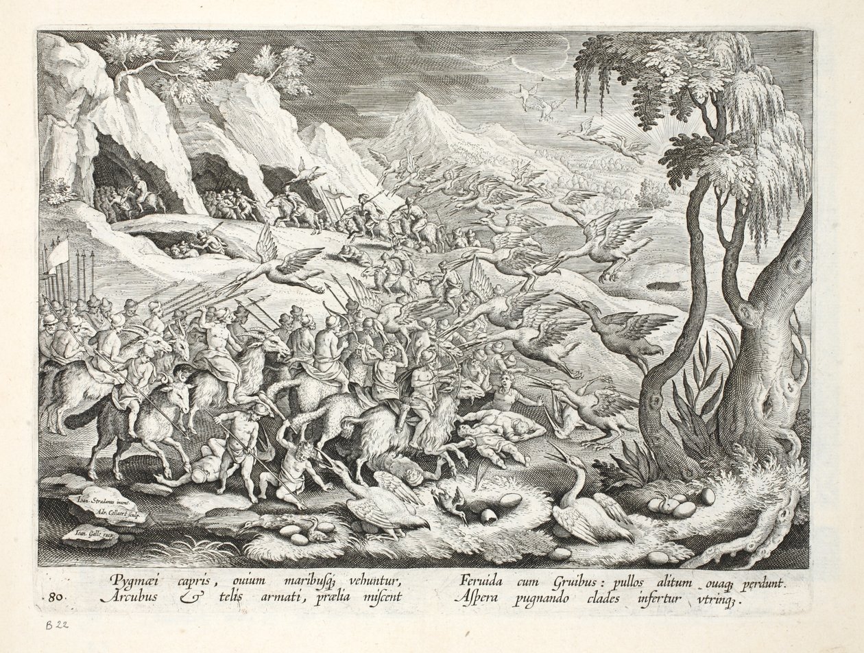 Pigmei su capre che cacciano gru, illustrazione da 