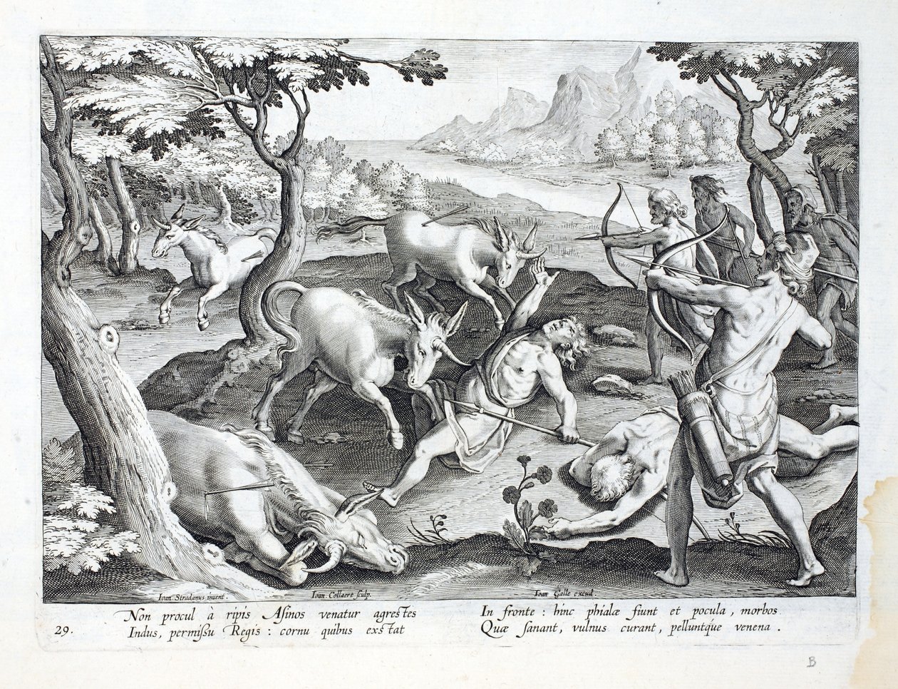 Unicorni sulle rive dell