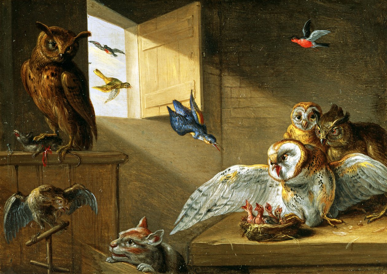 Una famiglia di gufi, altri uccelli e un gatto da Jan van Kessel the Elder