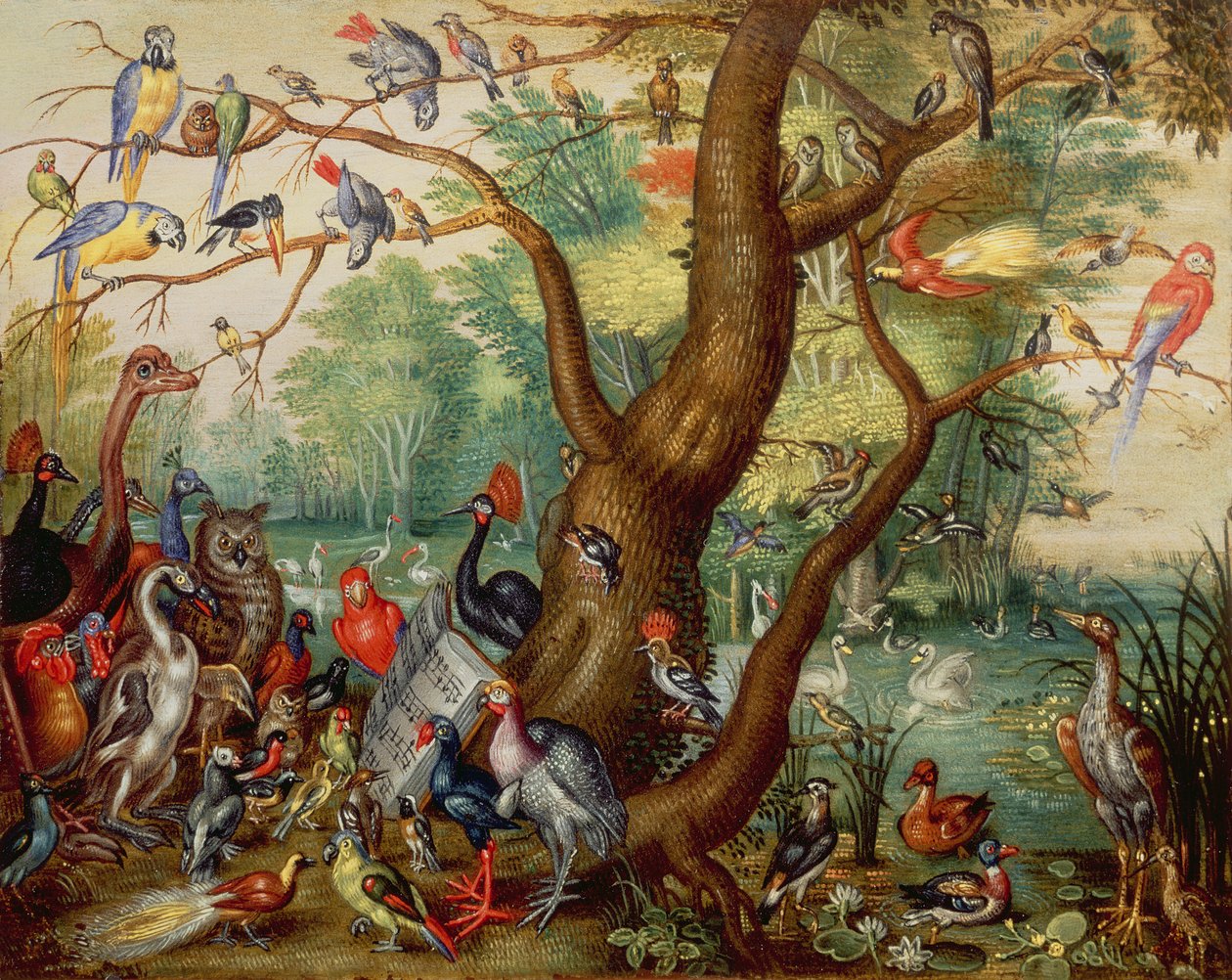 Concerto di uccelli da Jan van Kessel the Elder