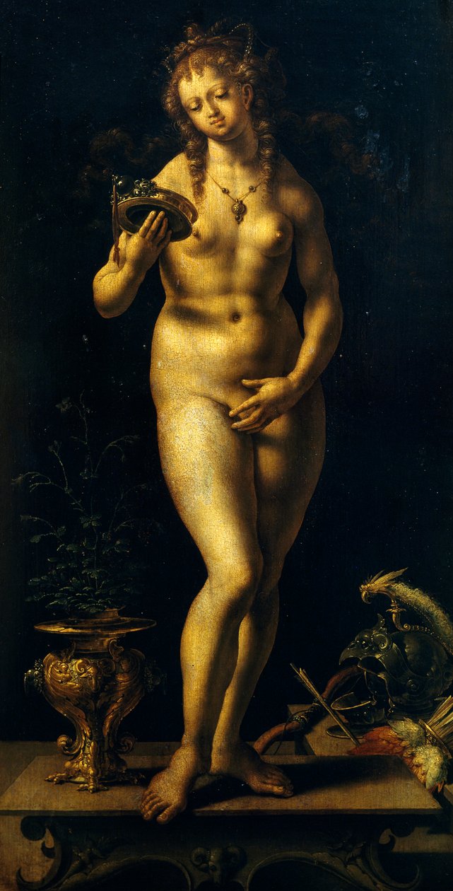 Venere da Jan (c.1472 c.1533) Gossaert