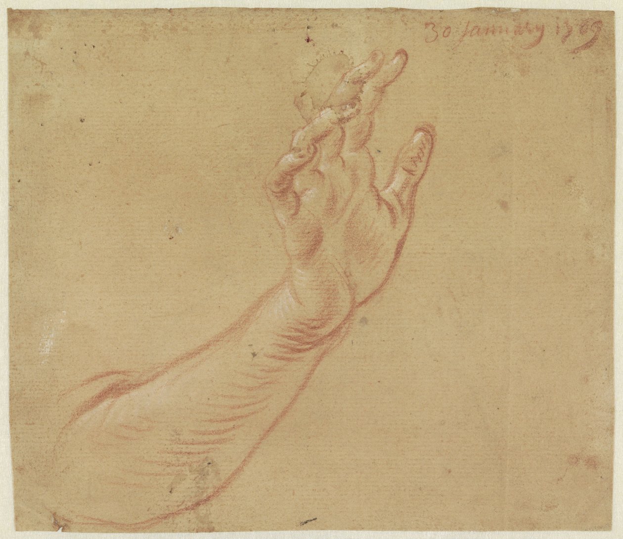 Studio di un braccio destro da Jan Anton Garemyn