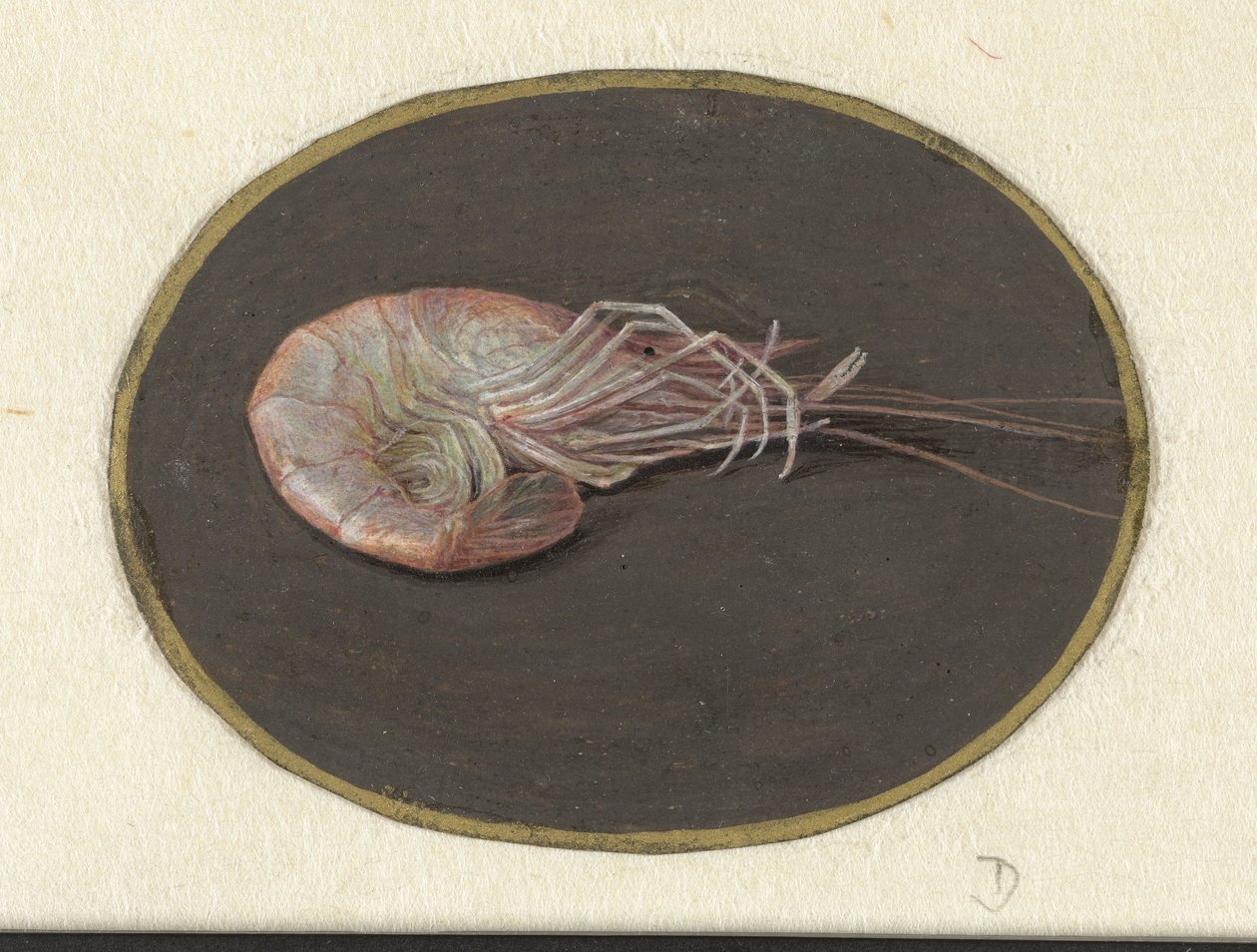 Gambero da Jan Augustin van der Goes