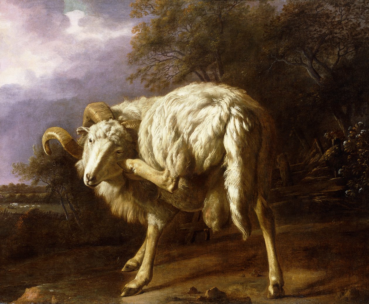 Un Ariete in un Paesaggio Boschivo da Jan Baptist Weenix