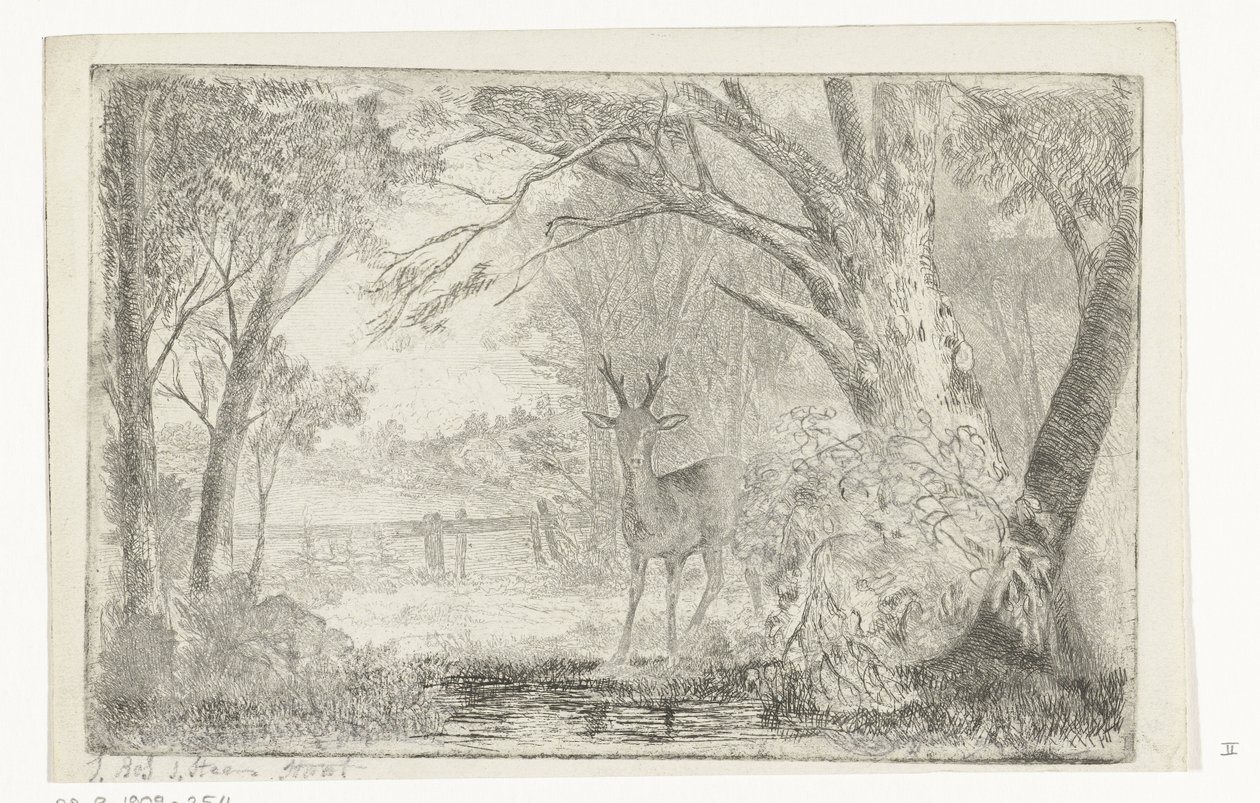 Paesaggio di parco con cervo da Jan Bos Wz.
