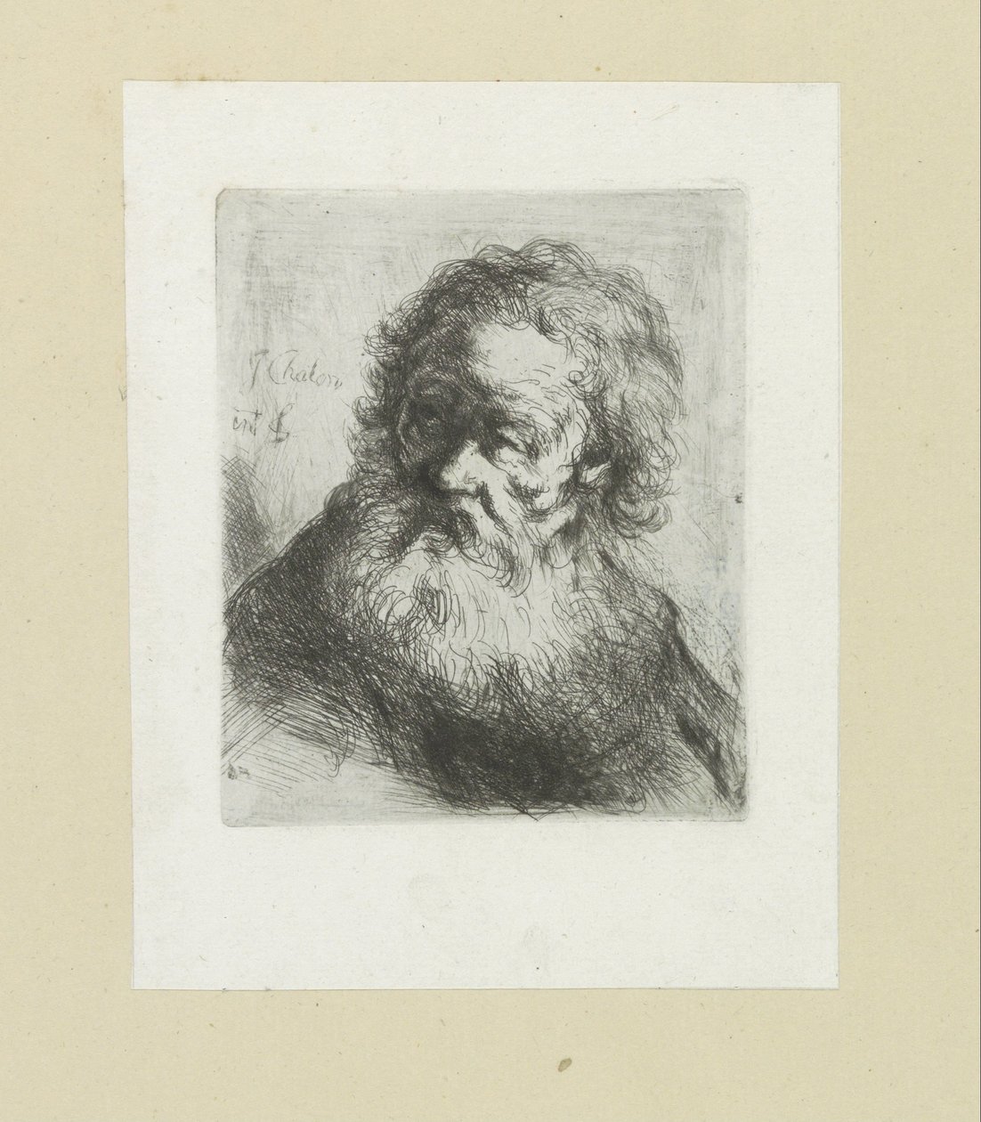Vecchio con barba da Jan Chalon