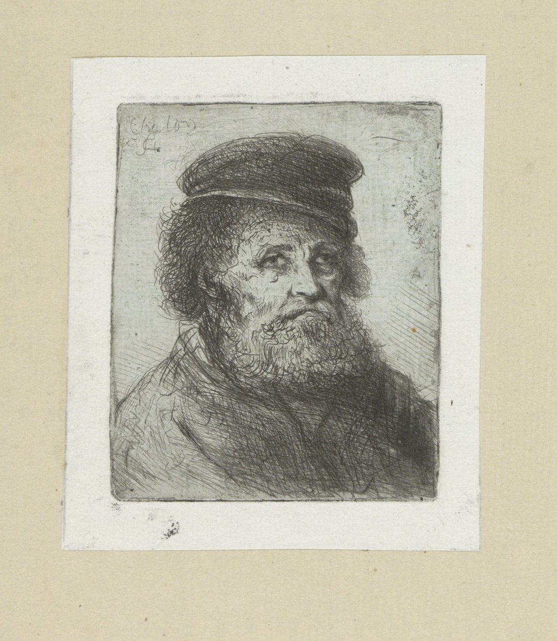 Vecchio con barba e berretto da Jan Chalon