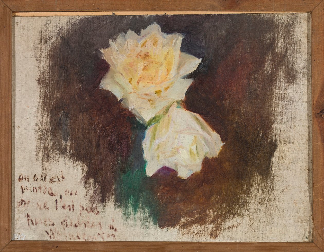 Rose bianche da Jan Ciągliński
