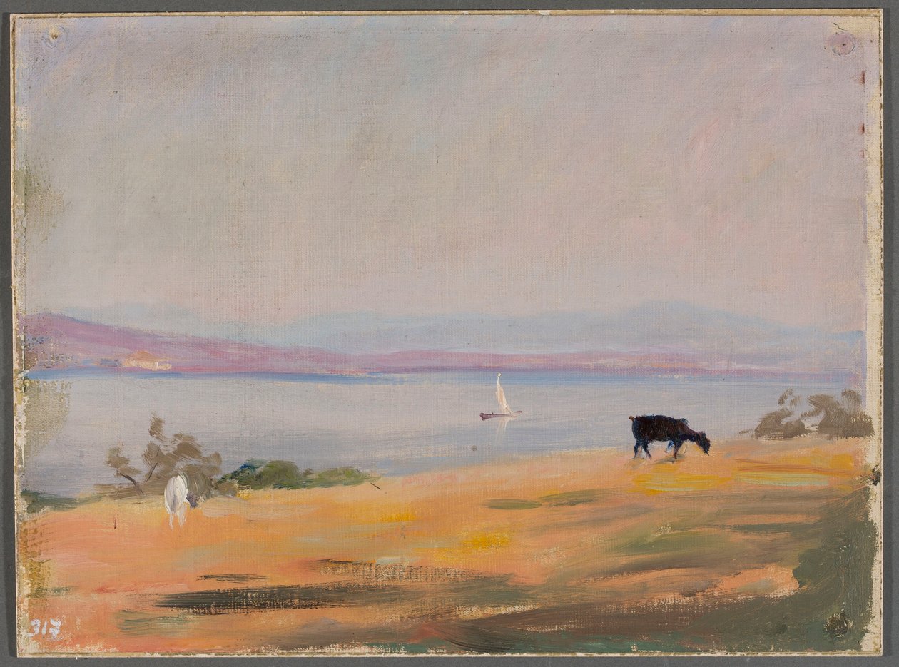 La riva del mare. Da un viaggio a Costantinopoli da Jan Ciągliński