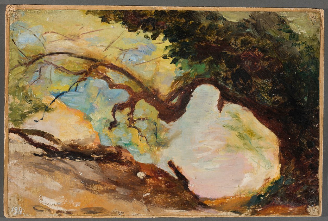 Alberi ad Alupka. Da un viaggio in Crimea da Jan Ciągliński