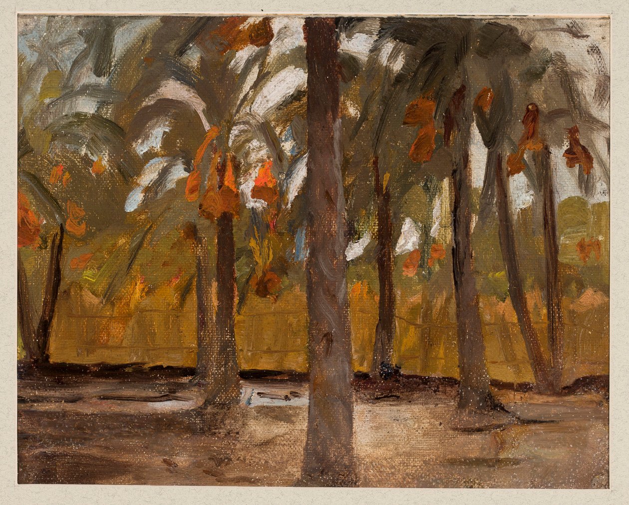La foresta di palme egiziana. Dal viaggio in Egitto da Jan Ciągliński
