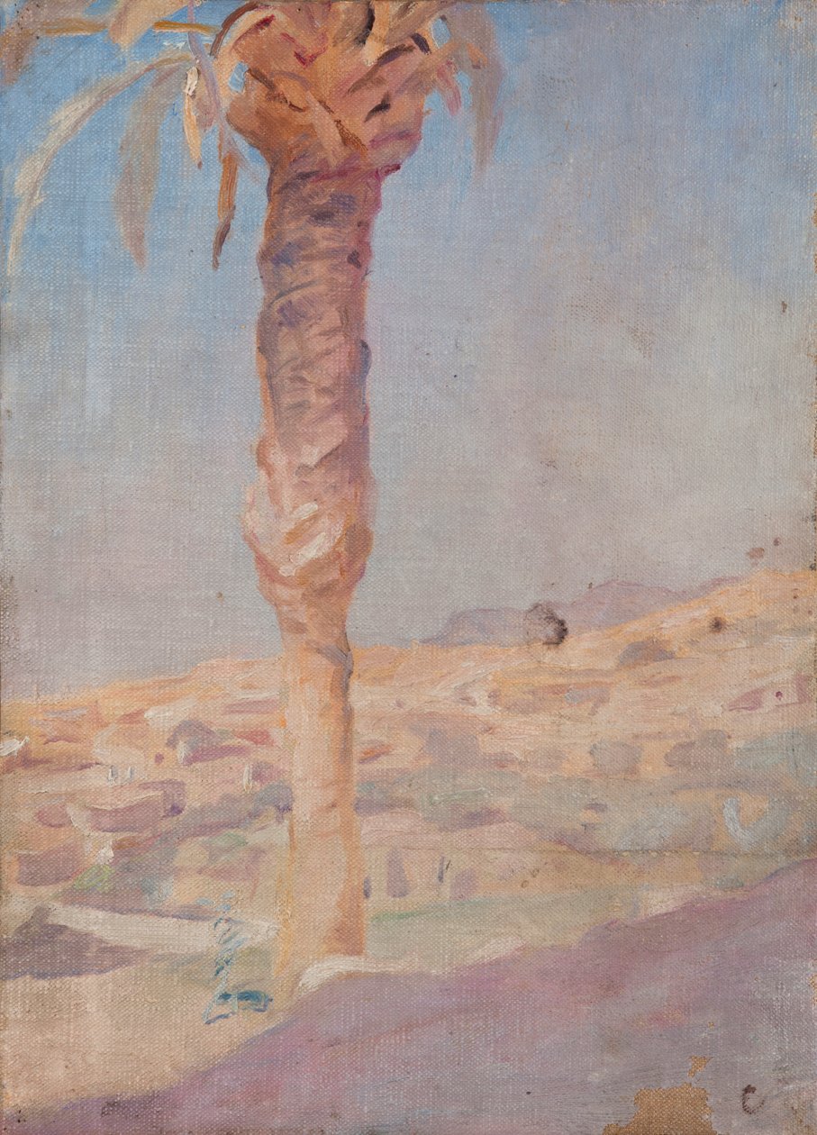 Spagna (Crevillente) da Jan Ciągliński