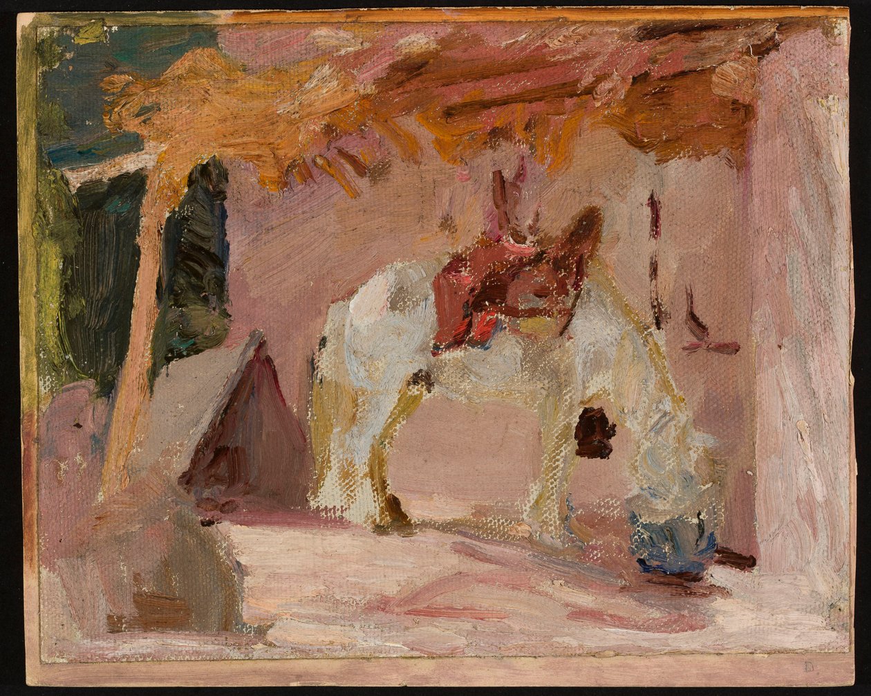 Pferd. Aus der Reise nach Turkestan da Jan Ciągliński