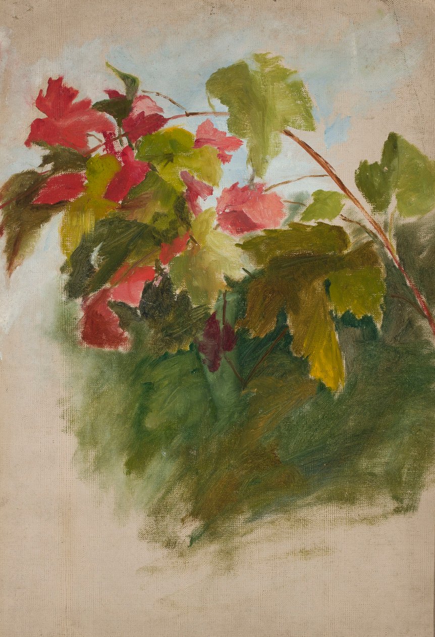 Foglie di vite da Jan Ciągliński