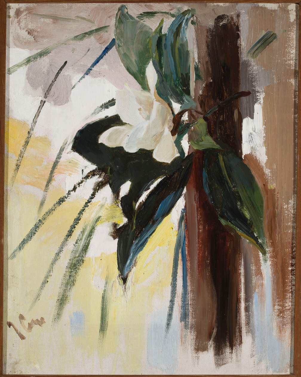 Magnolia da Jan Ciągliński