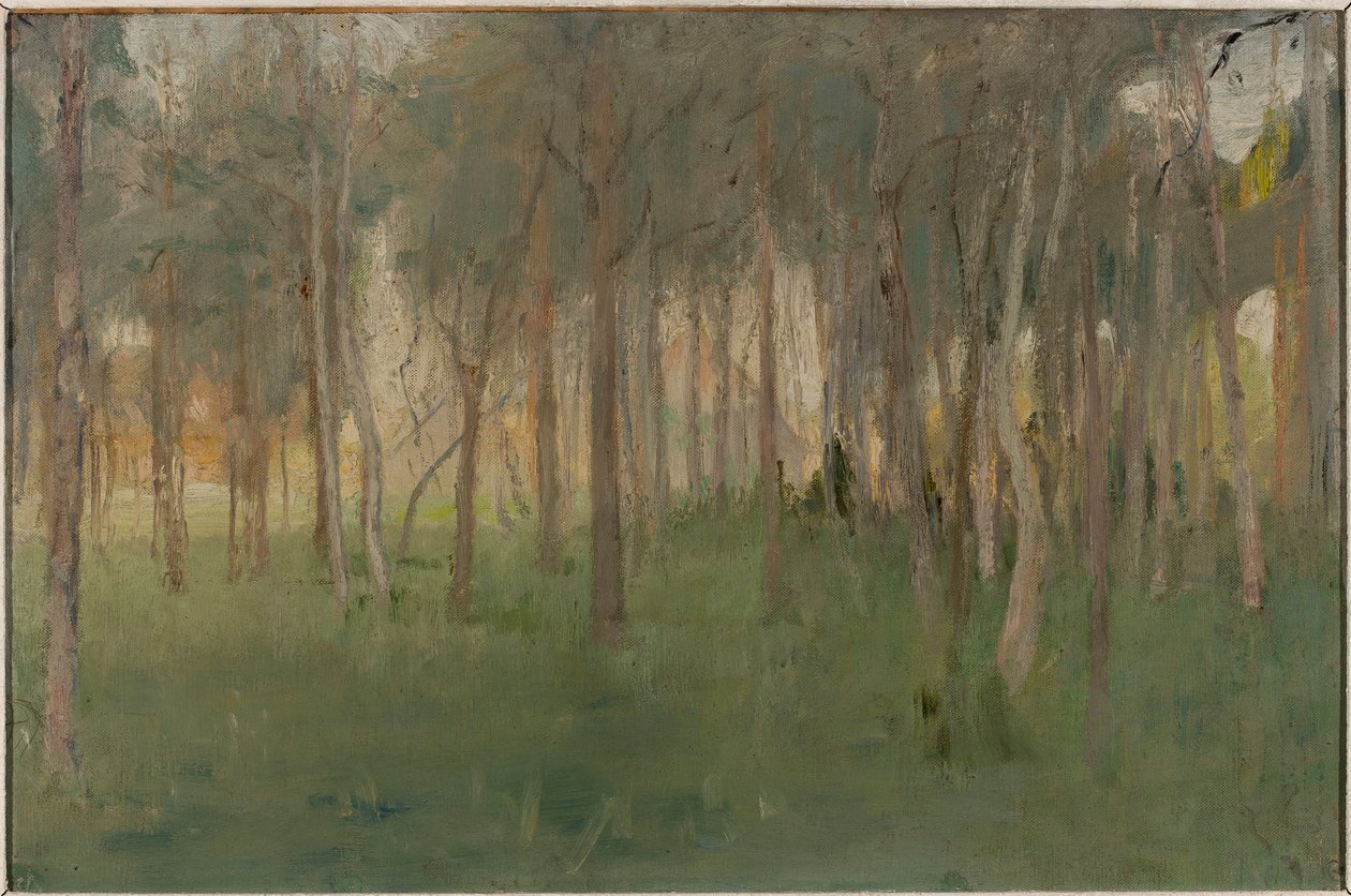 Marino - Boschetto da Jan Ciągliński