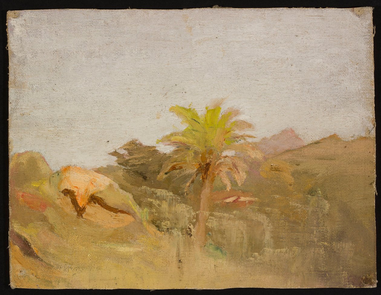 Palme auf Ceylon. Aus einer Reise nach Indien da Jan Ciągliński