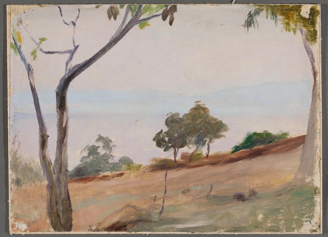 Paesaggio con alberi. Da un viaggio a Costantinopoli da Jan Ciągliński